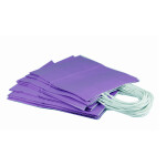 PAPER SHOPPING BAG 12PCS 15X21X8CM PURPLE