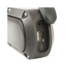 ProOne PSB4605  Portable Speaker