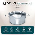 DELICI DSP 20W Stainless Steel Saucepan