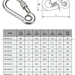 5 pcs Stainless Steel 316 grade Locking Snap Hooks Carabiner with EYE, Marine Grade Stainless Steel Heavy Duty Carabiner for Camping,4mm