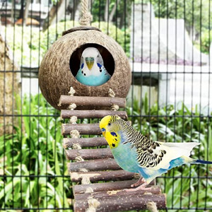  Coconut Bird Nest Hut with Ladder,parakeet nesting,bird house,bird ladder,bird cage accessories,for Parrots Parakeet Conures Cockatiel and other small animals