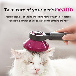  Pet Rake For Hair Removal, Detachable Brush Set For Cats, Dogs And Pets With Long And Short Hair