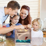  Mini Betta Fish Tank,Small Transparent Fish Bowl Aquarium Stackable Tank,Ant Feeding Case Mini Reptile Row Box Rectangle(15.5 * 10.5 * 14cm))