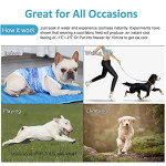  Dog Cooling Vest,Pet Mesh Breathable Cooling Coats,for Small and Medium Dogs Walking Hunting Sports Outdoor Hiking Summe Dog Anxiety Harness (M)