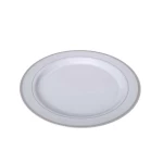 Rosymoment Premium Quality Plastic Dinner Plate 10 Inch, Set Of 10 Pieces,