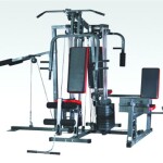 Home Gym / 4 Station BXZ-9950-4