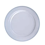 Rosymoment Premium Quality Plastic Dinner Plate 10 Inch, Set Of 10 Pieces,