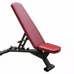 Heavy Duty Adjustable Dumbbell Exercise Chair| MF-0771