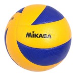 Training Volleyball