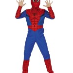 Spiderman Costume