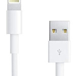 8 Pin USB Data Sync Charging Cable For iPhone 5 White/Silver