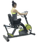 Recumbent Exercise Bike Home Indoor Sports Spinning Bike | MF-8809L