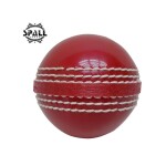 Cricket Rubber Soft Balls  ideal For both indoor and outdoor Cricket Clubs Pitching Practice and Matches