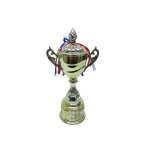 Trophy with Resin Decoration Electroplating Ornaments