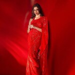 BlockBuster Design Saree - BDS01