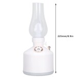 Cool Mist Retro Table Lamp LED Desk Lamp with Humidifier Reading Study Computer Lamp Air Purifying 