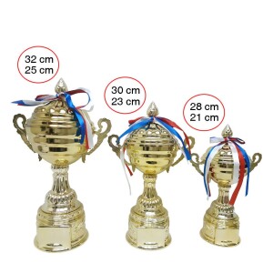 Trophy set of 3 Resin Decoration Electroplating Crafts Ornaments
