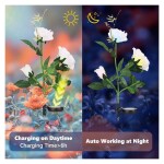 4 Pack Outdoor Solar Garden Stake Lights,Upgraded LED Solar Powered Light with 3 Rose Flowers, Waterproof Solar Decorative Lights