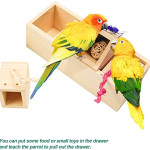  Bird Foraging Box Toy,Wooden Training Parrot Feeder Toys,Cockatiel Toys,Intelligence Parrots Sun Conures, Caique, Cockatoo, African Grey, Macaws