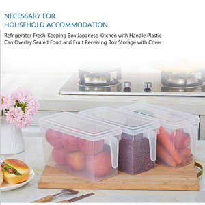 Food Storage Boxes With Lids Freezer Safe 3 Pcs 4.7L Large Plastic Kitchen Refrigerator Stackable Food Fruit Storage Containers With Handle RuiXia