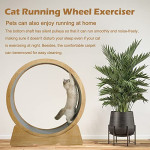  Oversized Cat Exercise Wheel, Extra Large Pet Silent Treadmill with Carpeted Runway, Cat Wheel Kitten Toy for Indoor Cats Exerciser for Cats (105cm in diameter)