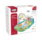 2 in 1 Baby Play Mat Baby Gym & Baby Activity Push Walker