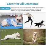 Dog Cooling Vest,Pet Mesh Breathable Cooling Coats,for Small and Medium Dogs Walking Hunting Sports Outdoor Hiking Summe Dog Anxiety Harness (M)