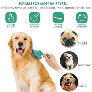  3PCS Pet Self-Cleaning Grooming Brush Kit,Cat Grooming Kit,Dog Brush Comb,For Cats and Dogs With All Hair Types + Free Pet Nail Clippers and Free Kit