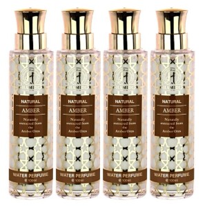 Ultimate Bundle Offer - Non Alcoholic Natural Amber Water Perfume 100ml Unisex  Perfumes Gift Set  (Pack of 4)