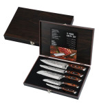 5-piece Knife Set with A Wooden Box | Super Sharp Slicer | Kitchen Knife Set for Home | Knife Set | Chef Knife Professional | Kitchen Knives