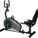 Recumbent Bike BXZ-621L