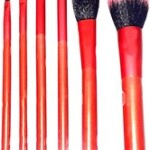 Professional 6Pcs Makeup Brush Set Powder Foundation Brush Blush brush, halo brush, eyeshadow brush, lip brush, concealer brush Kit for Women Girl