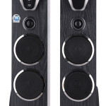 Krypton 2.0 CH Tower Speaker with Remote Control- KNMS5198N| USB Input, SD Card Reader, FM Radio, Karaoke, HDMI and Optical Input
