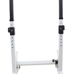 Heavy-Duty Dumbbell Rack Strength Training Dip Station | MF-7502