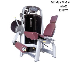 Seated Leg Extension Trainer MF-GYM-17630-SH-2