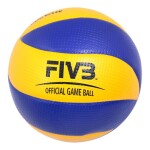 Training Volleyball