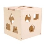 Intelligence Shape Sorting Box Puzzle