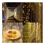 300-LED Curtain String Light With Remote Yellow 3x3meter