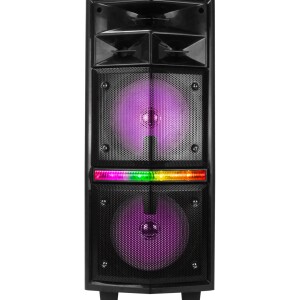 Wheelerz 20W Trolley Speaker Double 6.5 Inch, 5 Knobs With Rechargeable Battery, Bluetooth, Karaoke Input, Recording, TWS Function, LED Display Black