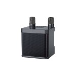 YS-203 Professional Portable 100W Dual Microphone Bluetooth Smart Speaker External Karaoke Equipment