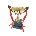 Trophy with Resin Decoration, Electroplating Ornaments Spall